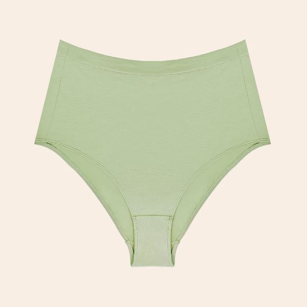 Esme Full Coverage Brief in Sage