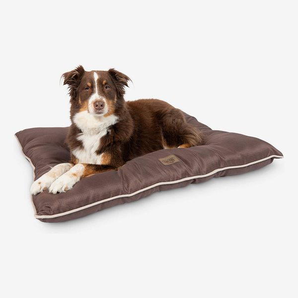 Pet Craft Supply Super Snoozer Calming Indoor / Outdoor Dog Bed