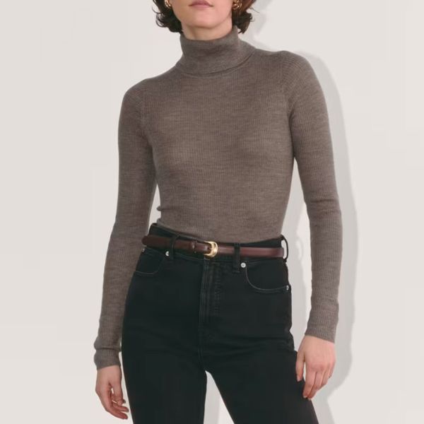 Everlane The Turtleneck in Ultrasoft Merino