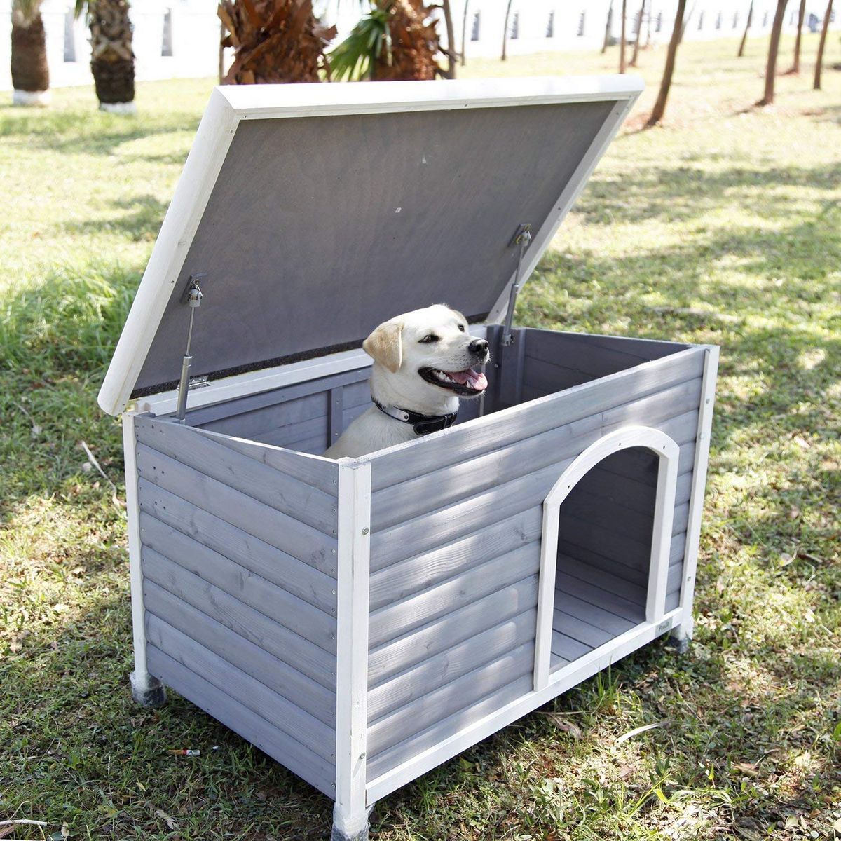 ROCKEVER Wood Dog Houses Outdoor Insulated Weatherproof Dog Houses Outside with Door Cute Wooden 
