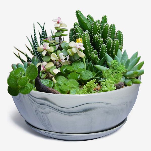 Large Ceramic Planter Pot