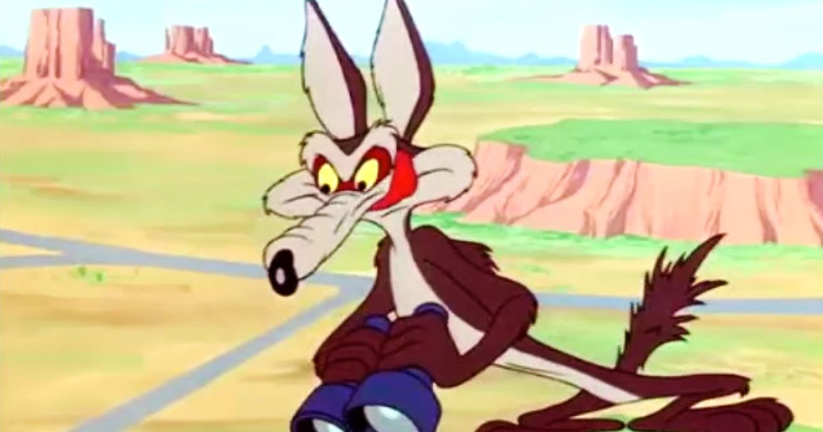 cartoon network coyote chase
