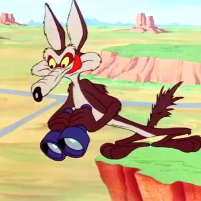 Wile E Coyote