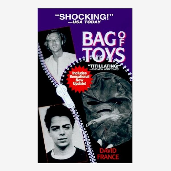 Bag of Toys: Sex, Scandal, and the Death Mask Murder by David France