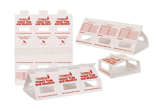 Catchmaster Insect Traps, 36 Boards