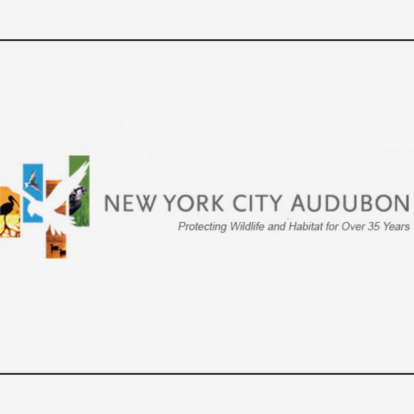 NYC Audubon Membership