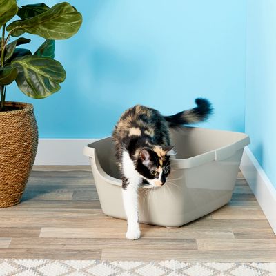 Minimize your cat's litter tracking with a litter box mat. - Modkat