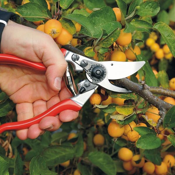 Felco Left-handed Pruning Garden Shears