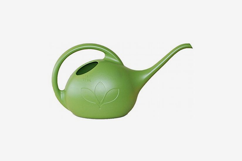 Arrosoir Intérieur Nouveauté, 1/2 Gallon, Vert