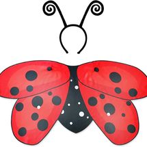 Flying Childhood Ladybug Wings and Antenna Headband