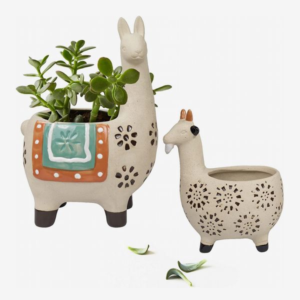 La Jolie Muse Ceramic Animal Succulent Planter Pot (Set of 2)