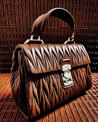 A bag from Miu Miu's spring collection.