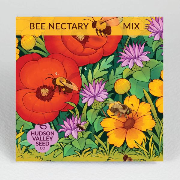 Hudson Valley Seed Co. Bee Nectary Mix