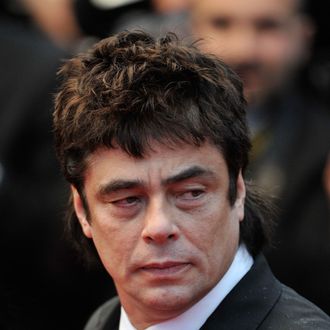Actor Benicio Del Toro attends the 'Jimmy P. (Psychotherapy Of A Plains Indian)' Premiere during the 66th Annual Cannes Film Festival at the Palais des Festivals on May 18, 2013 in Cannes, France. 
