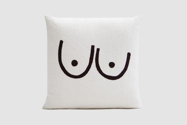 Cold Picnic Private Parts Pillow