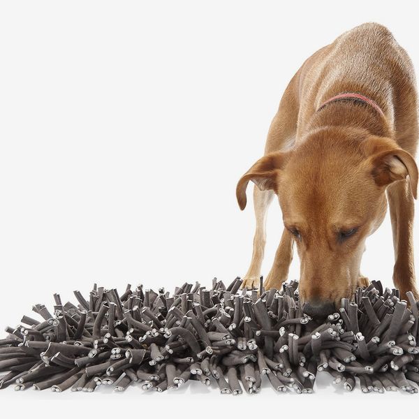 puzzle feeders for dogs