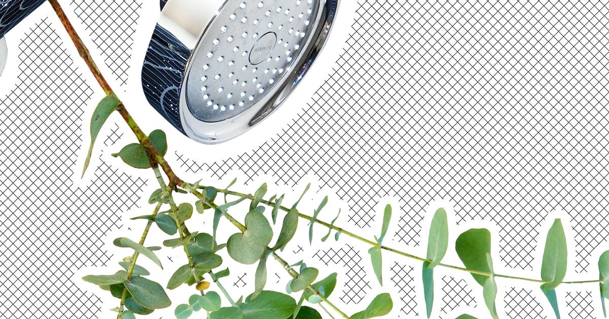 How to Hang Eucalyptus in Your Shower