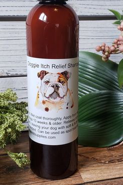 All Natural Dog Shampoo 8oz. Anti-Fungal