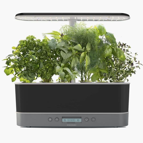 AeroGarden Harvest