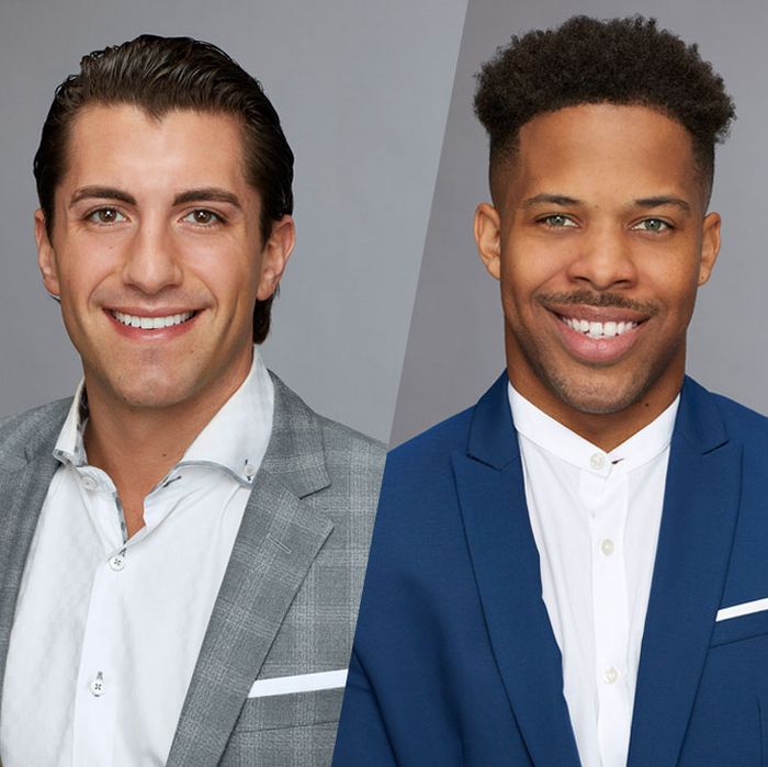 Who Will Be the Next Bachelor? Let’s Investigate the Odds