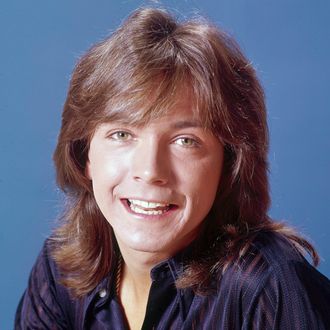 David Cassidy Dead At 67