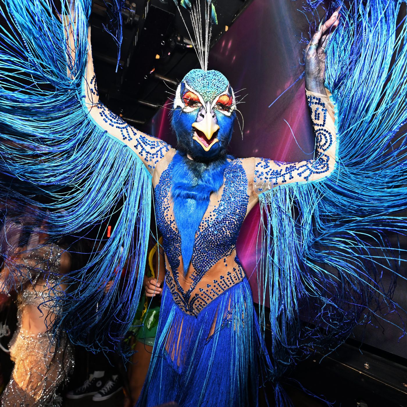 Peacock Suit for Men | Peacock costume, Peacock, Cool costumes