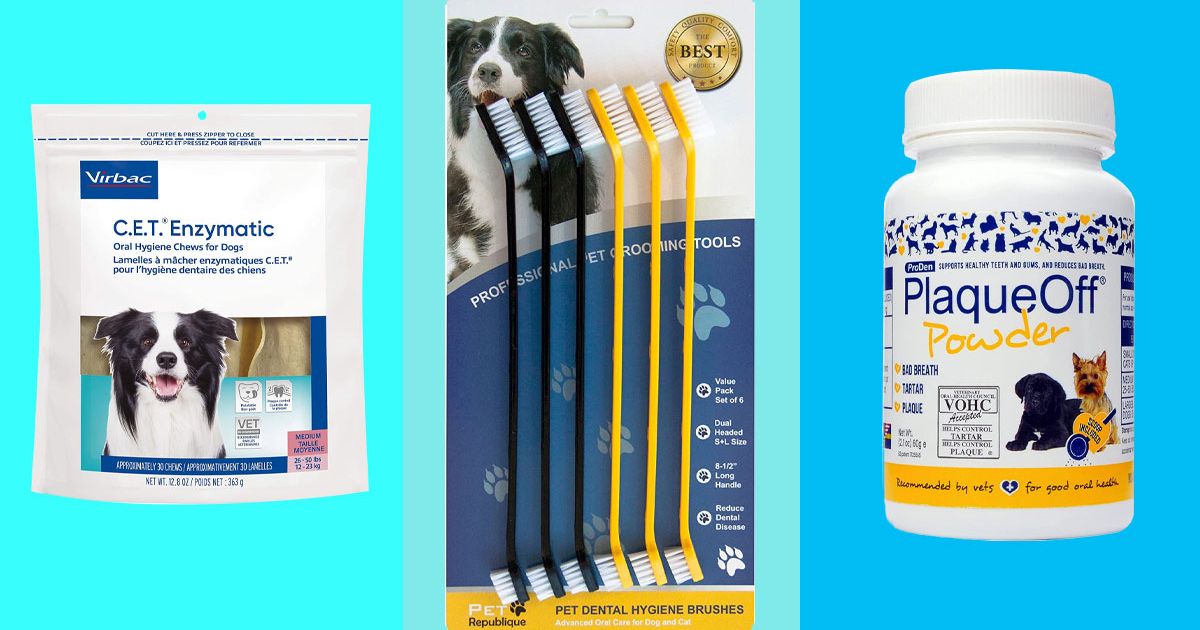 Bargain pet dental care products