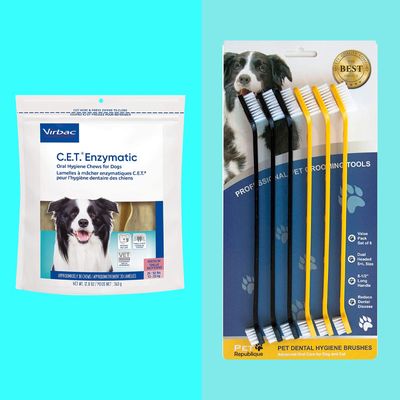 Vet's best complete enzymatic 2024 dog dental care kit