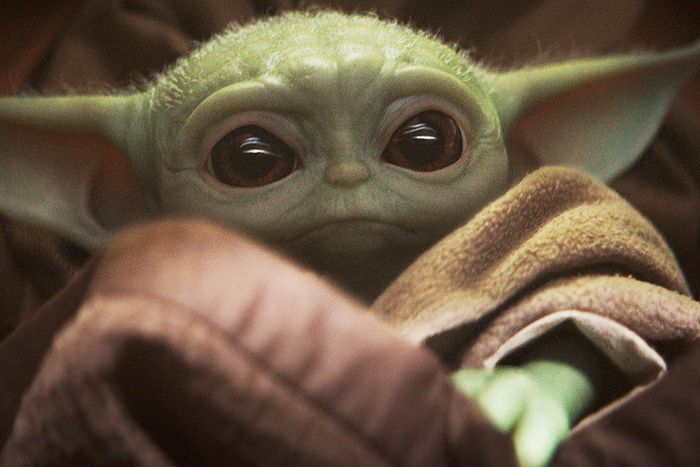 The Cutest Star Wars Creatures Baby Yoda To Babu Frick