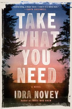 Take What You Need, by Idra Novey