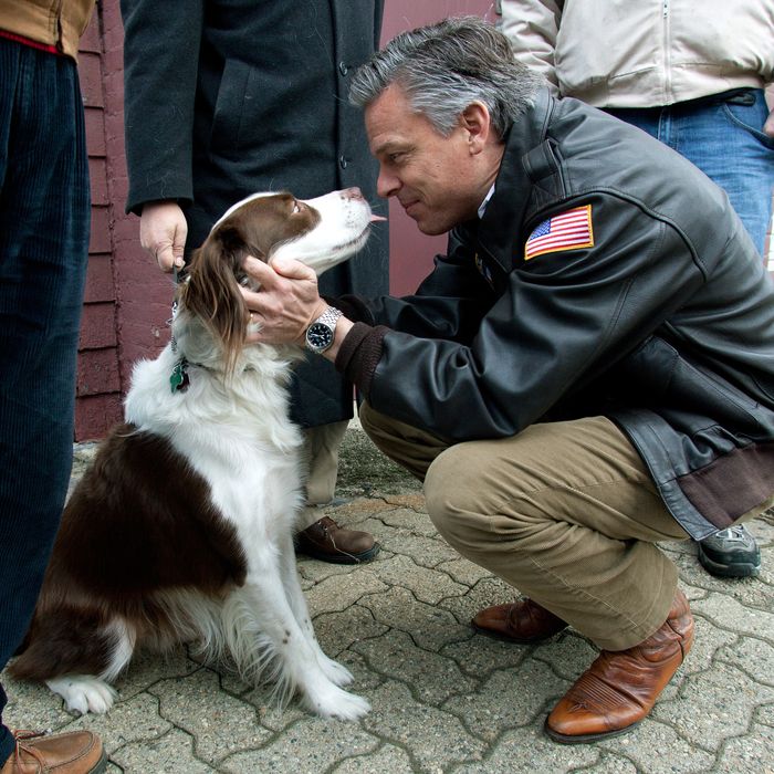CLAREMONT, NH - JANUARY 09: Republican presidential candidate and former Utah Gov. Jon Huntsman gets a kiss from a dog named 'Jeter' as he campaigns on January 09, 2012 in Claremont, New Hampshire. Polls show Huntsman gaining ground on front runner Mitt Romney ahead of Tuesday's primary. (Photo by Matthew Cavanaugh/Getty Images)