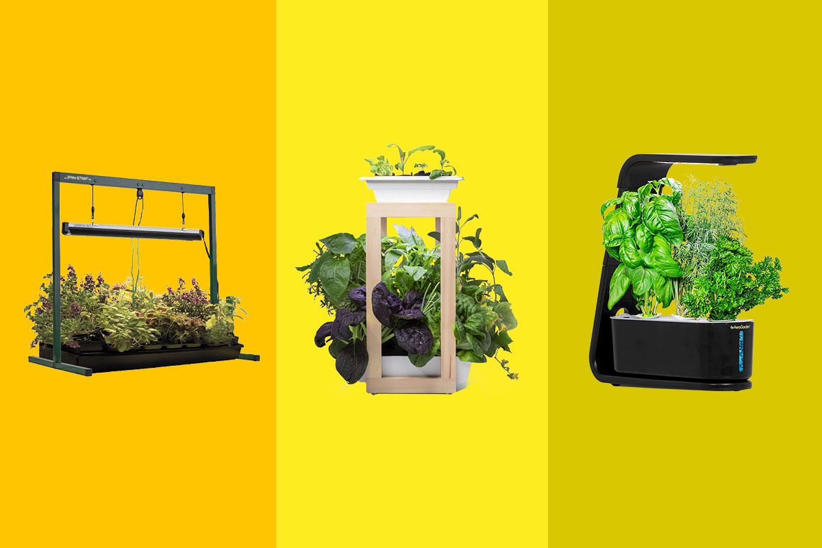 3x Basil Basil Smart Garden Click and Grow Kitchen Home Indoor Gardening Starter Kit 