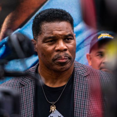 The Right Admits They Couldn't Care Less If Herschel Walker Paid for  Abortion: 'Winning Is a Virtue'
