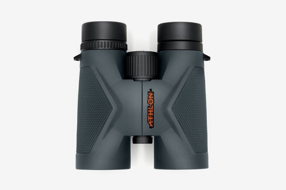Bushnell vs Nikon Binoculars [Which Brand Is Best For You?]