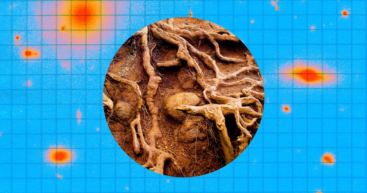 A Guide to the Earth Signs: Taurus, Virgo, and Capricorn