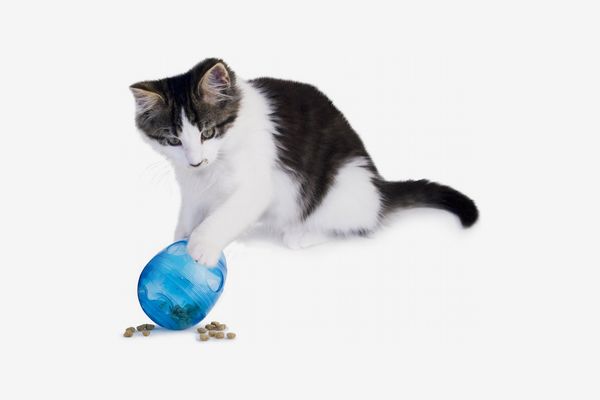 best cat food puzzles