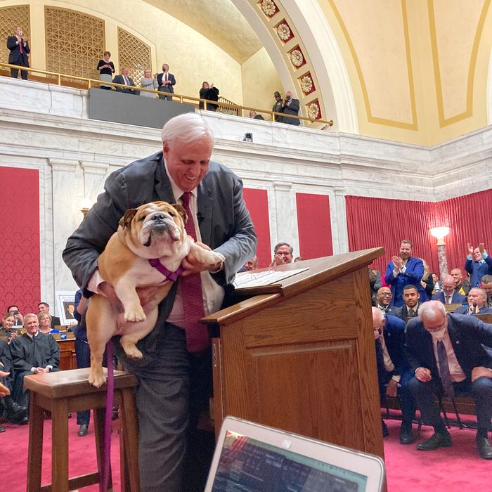 GOP Gets Prize Recruit Jim Justice to Take On Joe Manchin