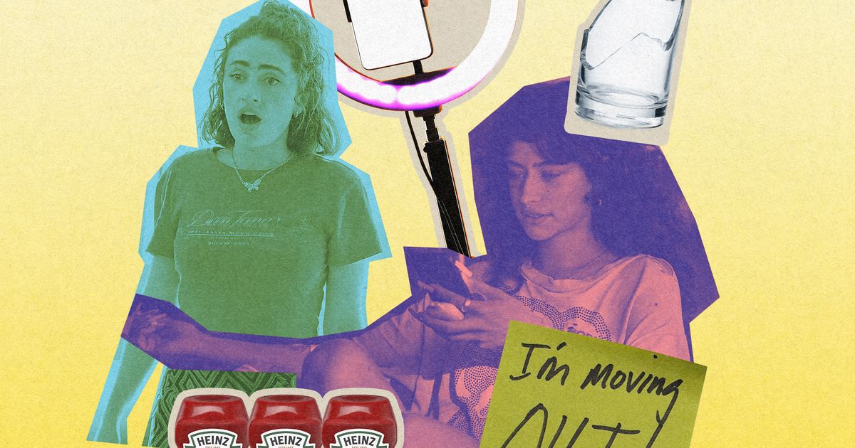 Influencer Roe ‘My Roommate Made a 30-Part TikTok Series Dragging Me’