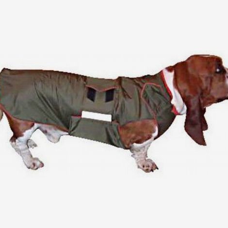 Basset Hound Dog Raincoat