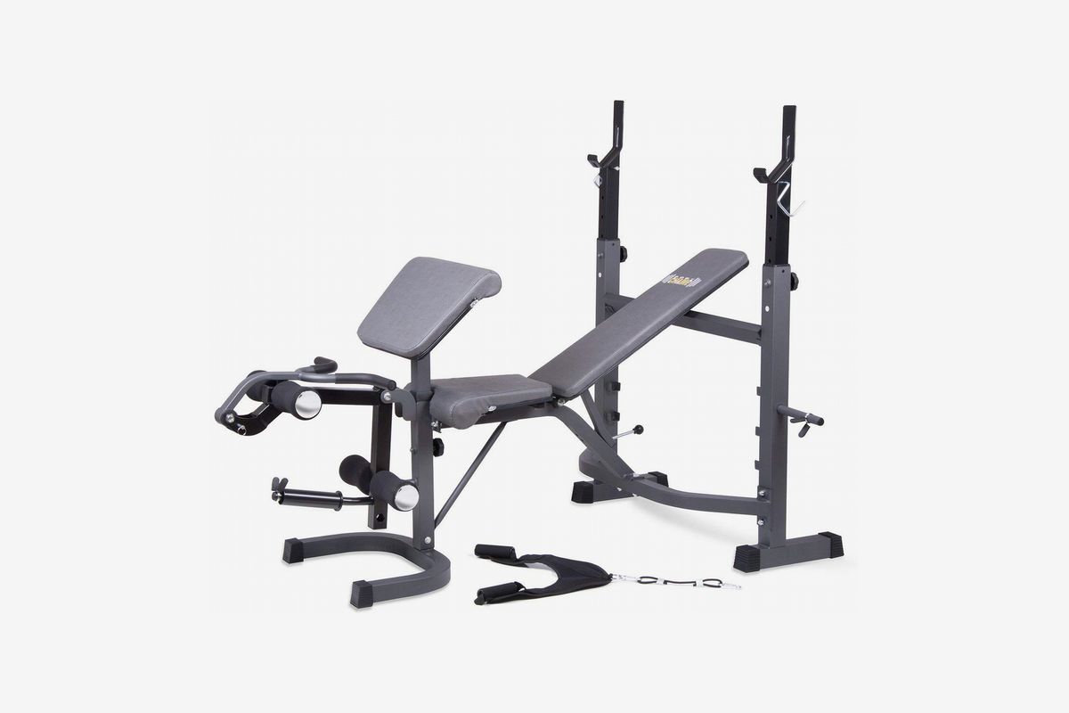Best Weight Bench For Home Gym Review Blog Dandk