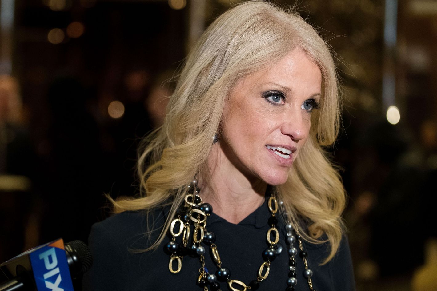 Kellyanne Conway Named Counselor to the President