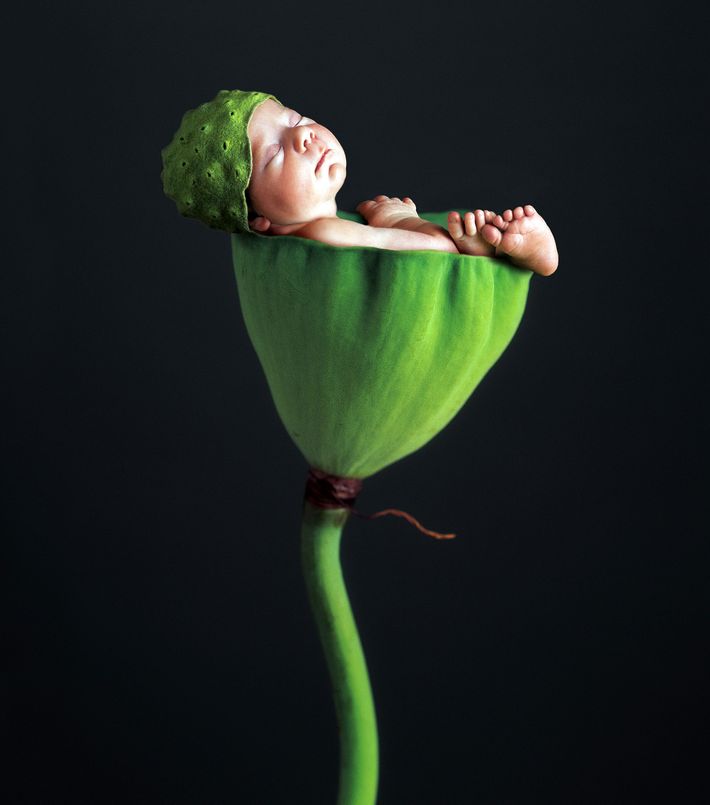 anne geddes photography