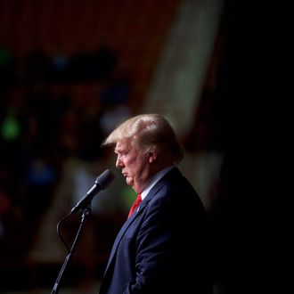 Donald Trump Campaigns In Harrisburg, Pennsylvania