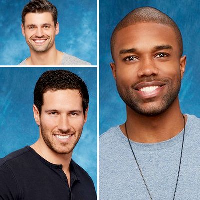 Which Bachelorette Bros Have Social Media Star Potential?