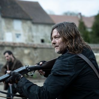 Norman Reedus as Daryl Dixon