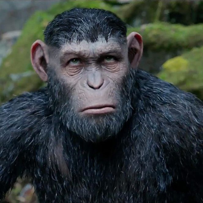 List 96+ Wallpaper War For The Planet Of The Apes Rt Latest