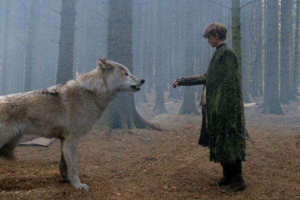 Dire Wolf / Direwolf Theories Everything We Know About ...