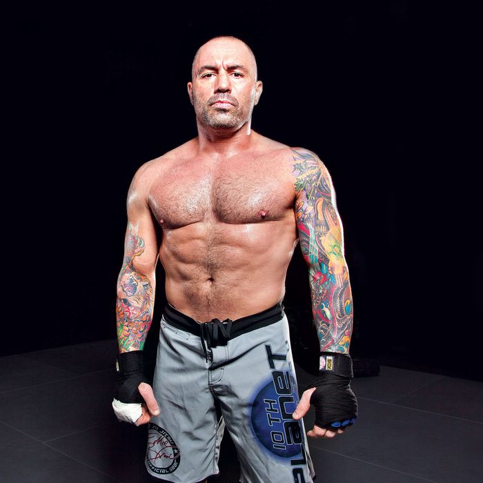 Joe Rogan AlaineBradly