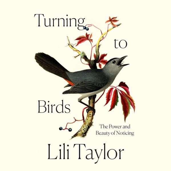Turning to Birds by Lili Taylor