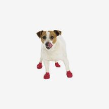 Pawz Dog Boots (Small)